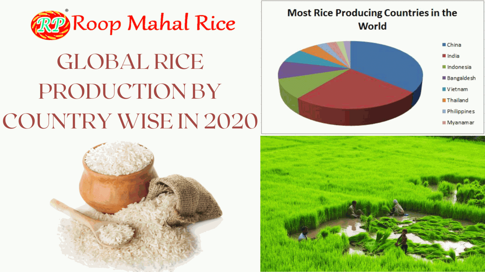 Rice production continue to reach highs record in India