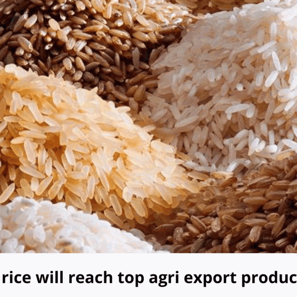 Non-basmati rice emerges as top in April-Dec
