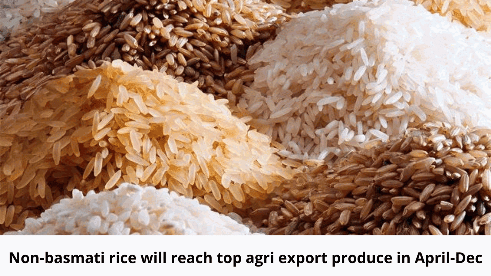 Non-basmati rice emerges as top in April-Dec