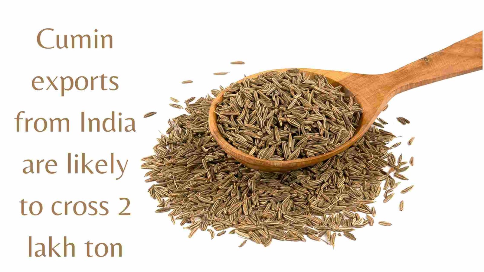 Exports of Cumin