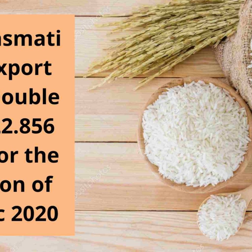 Export of non-basmati rice rise high