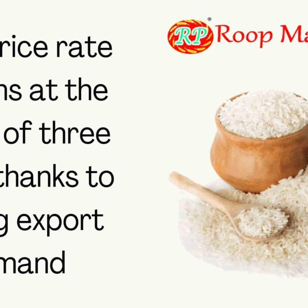 rice rates remain high