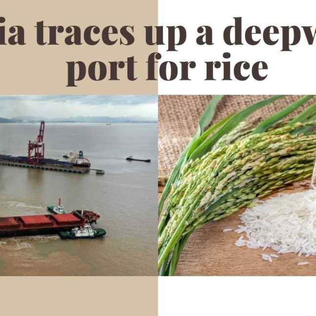 deepwater port for rice in india