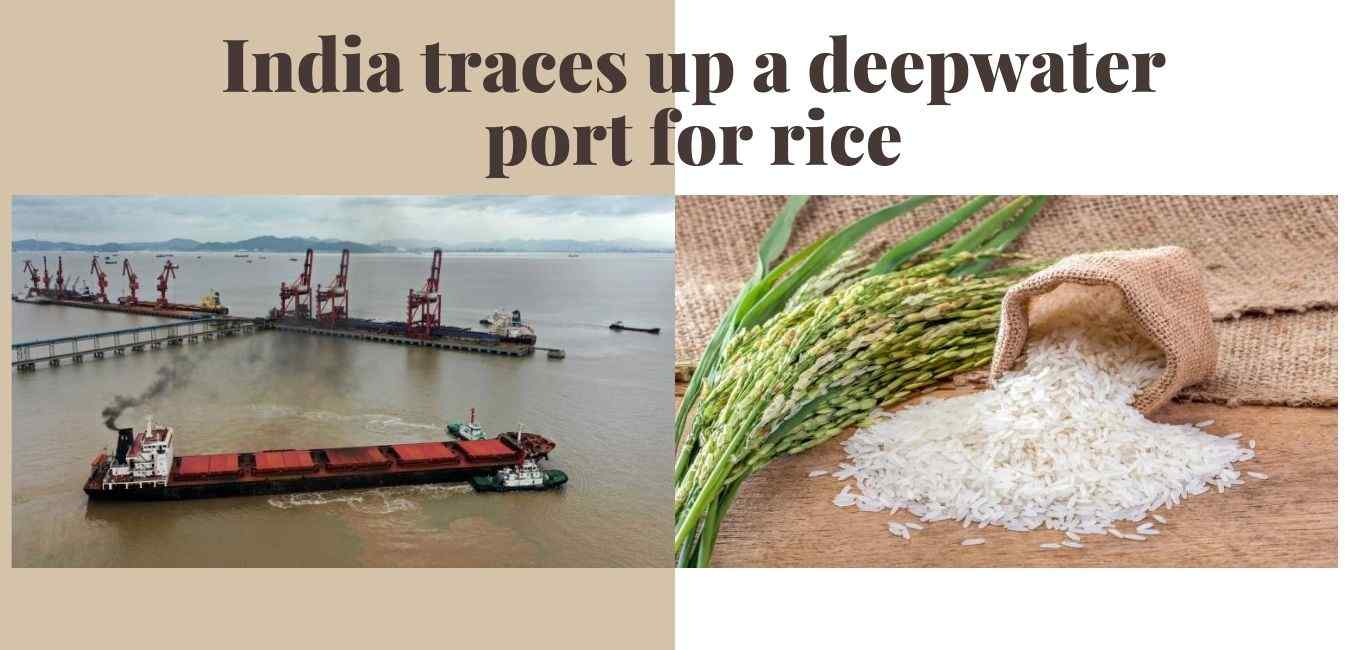 deepwater port for rice in india