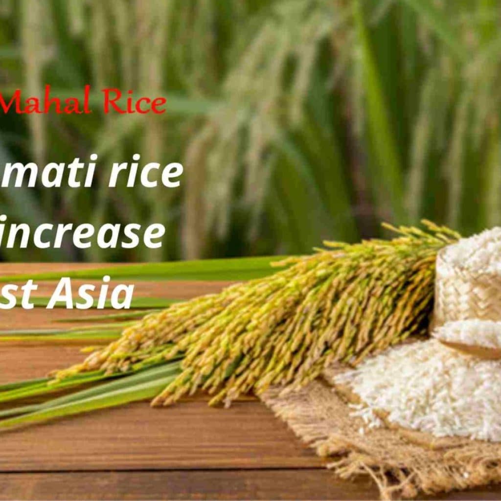 Non-basmati rice export increase as west asia