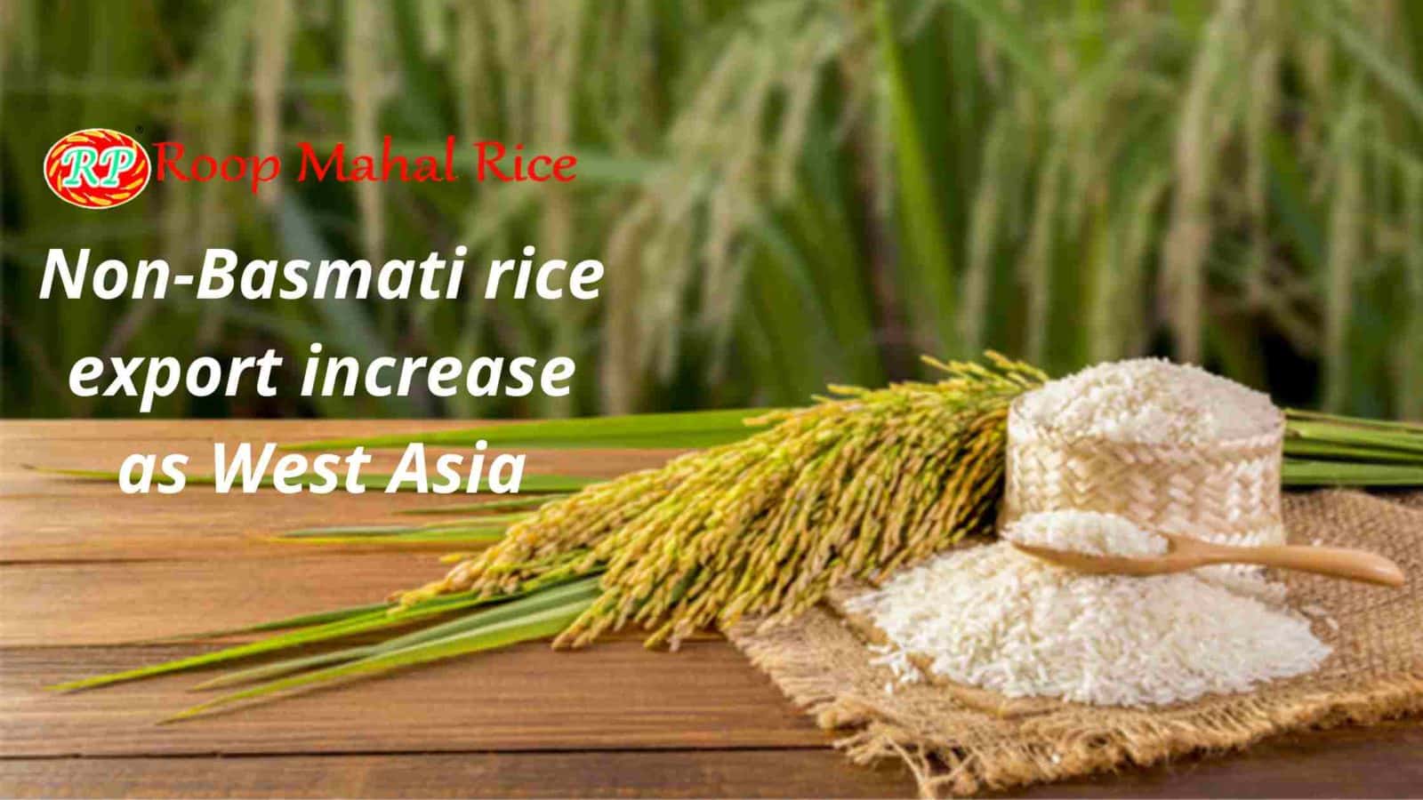 Non-basmati rice export increase as west asia