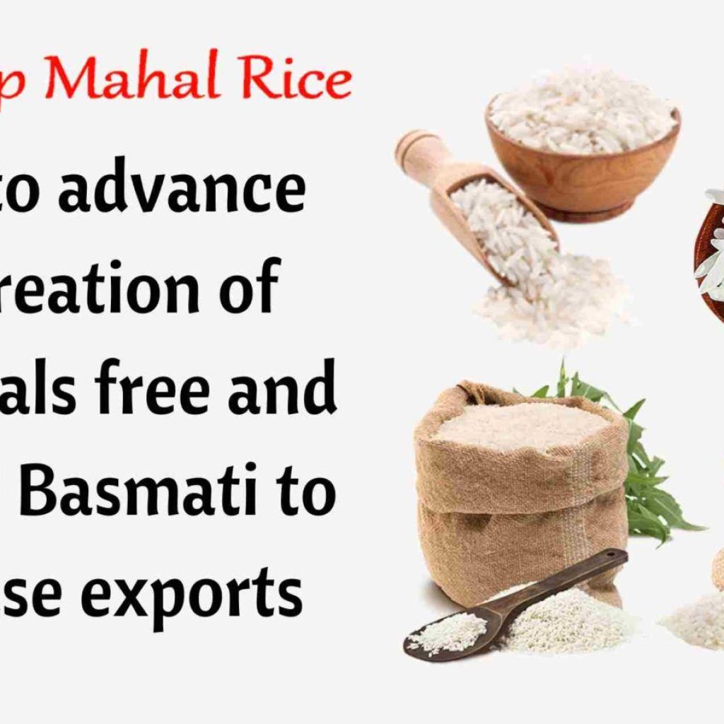 increase export of basmati rice