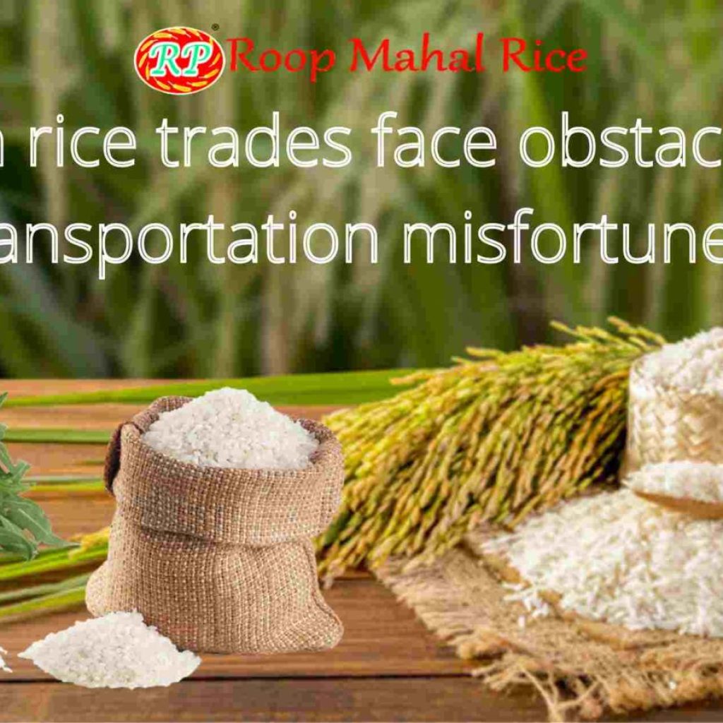 Indian non-basmati rice export