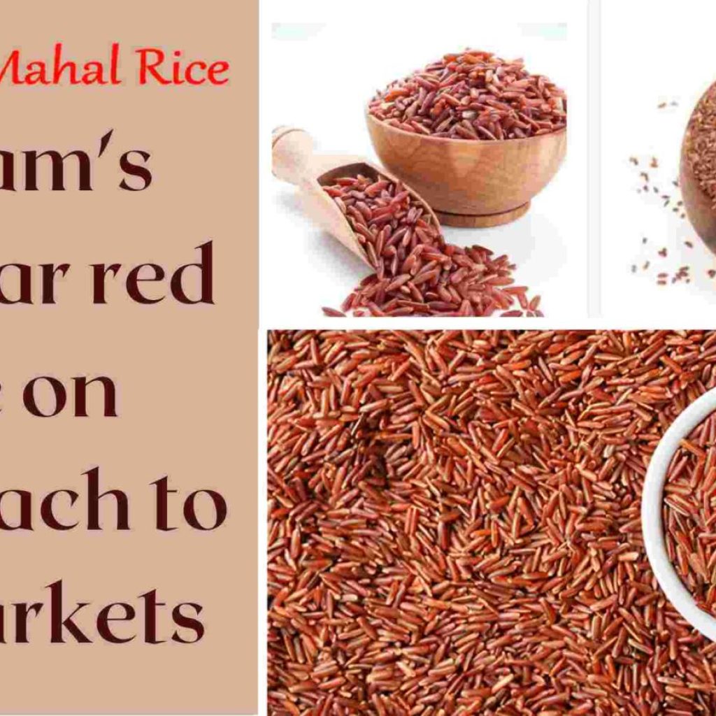 red rice export to us market
