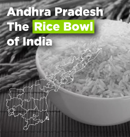 Rice Bowl Of India