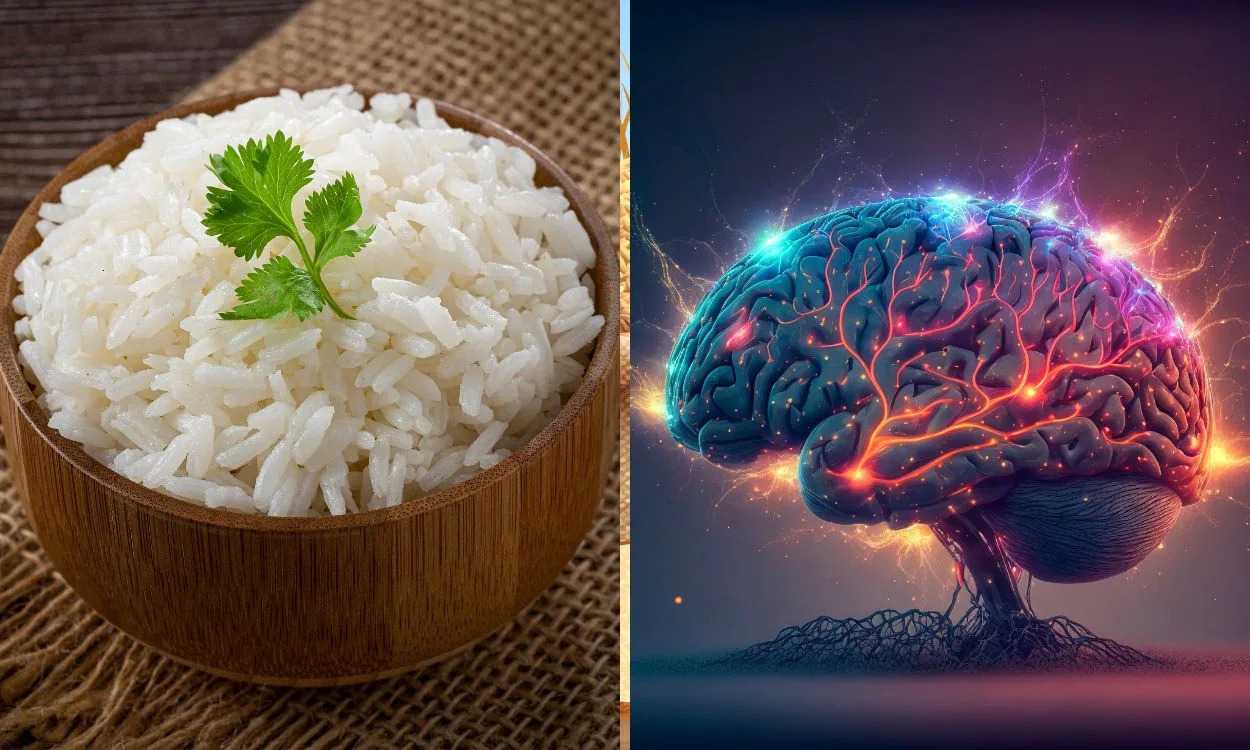 Why is rice the best grain for the brain?